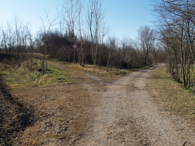 eg016866