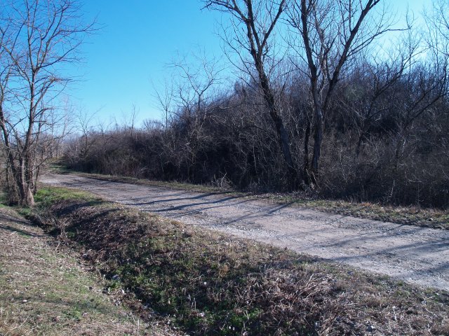 eg016870